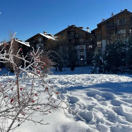 Daliya's * Μπάνσκο